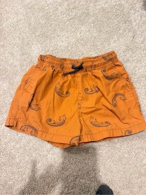Zara boy’s Chameleon Swim trunks
